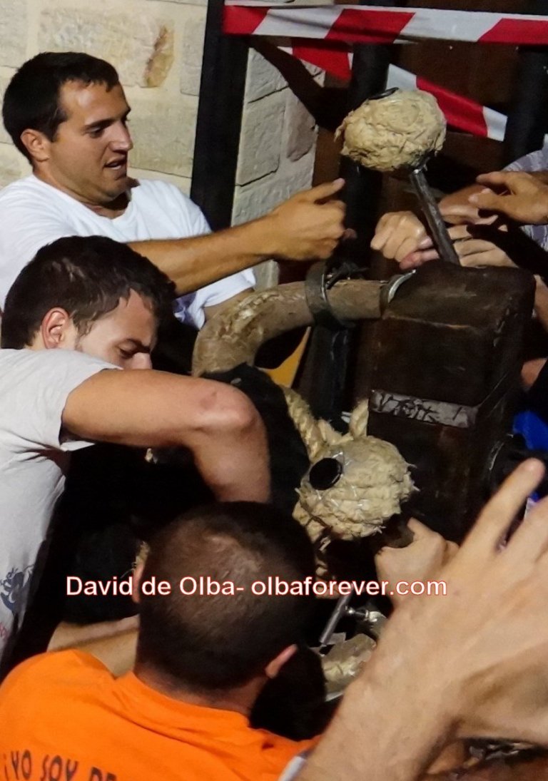 DSC07873 [1600x1200]