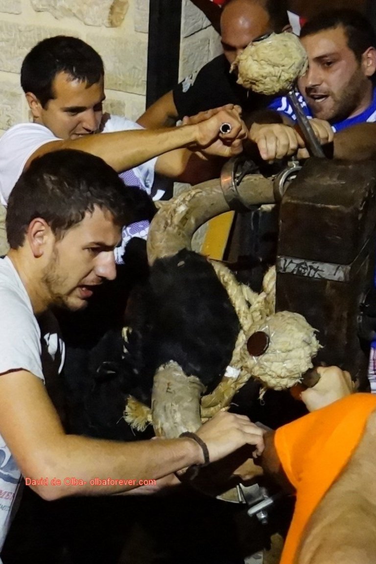 DSC07876 [1600x1200]