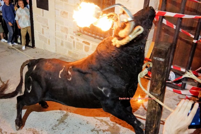 DSC07883 [1600x1200]