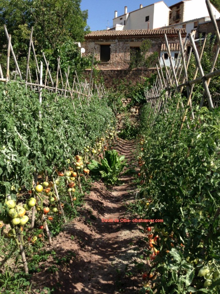 IMG_1425 [1600x1200]