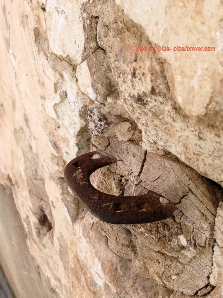 IMG_1575 [1600x1200] - ZONA AZUL