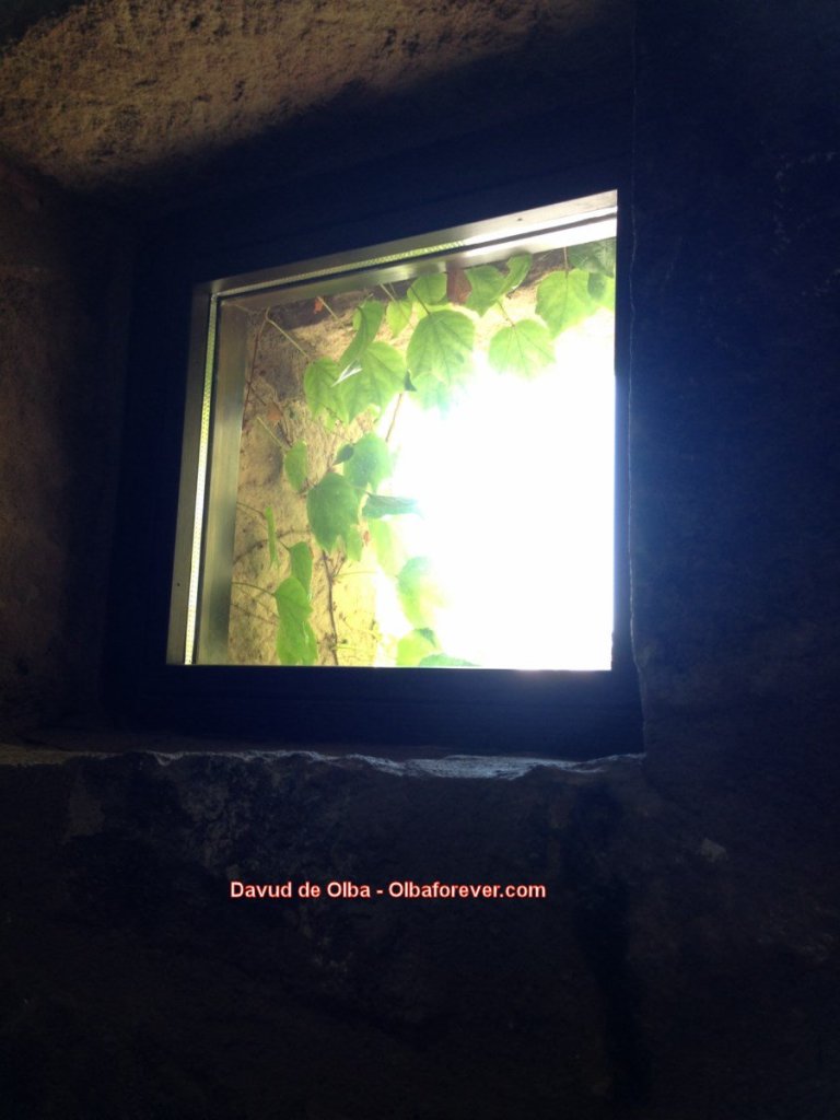 IMG_1586 [1600x1200]