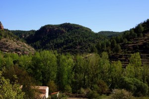 DSC08213 (Copiar)el paisaje