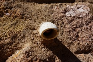 DSC08215 (Copiar)luz