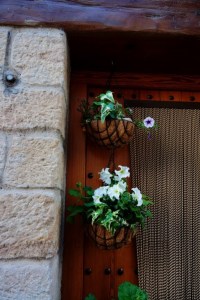 DSC08219 (Copiar) macetero