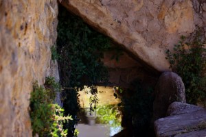 DSC08225 (Copiar)agua