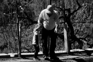 DSC08232 (Copiar)el huerto de vicente