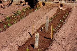 DSC08241 (Copiar) intendencia