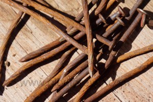 DSC08252 (Copiar)los clavos de...