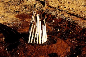 DSC08308 (Copiar)fortaleza