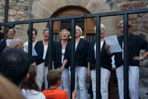 DSC09479 (Copiar)ruiseñores enjaulados