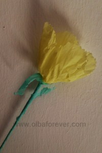 IMG_5389 (Copiar)su primer farolillo