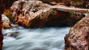 DSC01828 [1600x1200]rio mijares