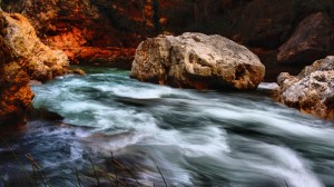 DSC01829 [1600x1200] rio mijares