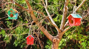 DSC01841 [1600x1200] hogares