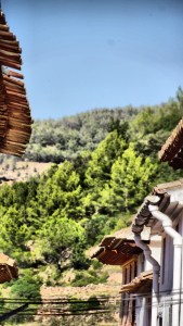 DSC02003 [1600x1200] miradas perdidas