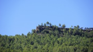 DSC02032 [1600x1200] mor+ron