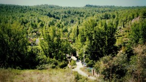 DSC02034 [1600x1200] vistas