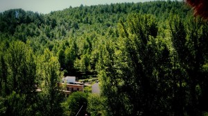 DSC02039 [1600x1200] vistas