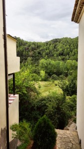 DSC02179 [1600x1200]vistas