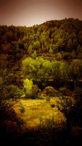 DSC02180 [1600x1200]vistas