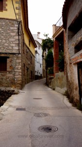 DSC02182 [1600x1200] hacia la piscina