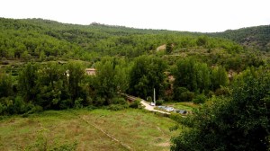 DSC02184 [1600x1200]vistas