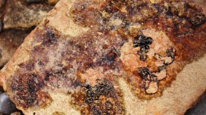 DSC02214 [1600x1200]