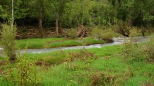 DSC02229 [1600x1200]