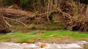 DSC02235 [1600x1200]