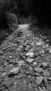 DSC02237 [1600x1200] riada