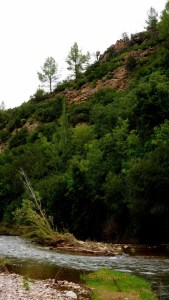 DSC02248 [1600x1200]