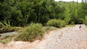 DSC02251 [1600x1200]