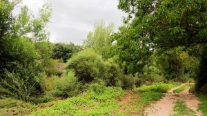 DSC02254 [1600x1200]