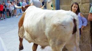 DSC02300 [1600x1200] Carol esquivando