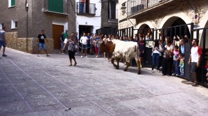 DSC02311 [1600x1200] cagada del manso