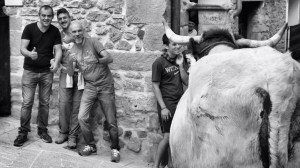 DSC02315 [1600x1200] quatro mansos