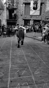 DSC02320 [1600x1200] ...que viene