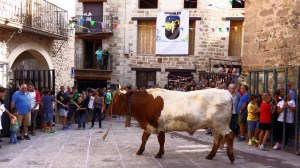 DSC02321 [1600x1200]