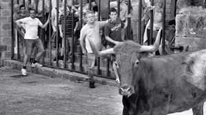 DSC02326 [1600x1200] postureo vacuno