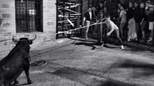 DSC02344 [1600x1200]