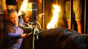 DSC02358 [1600x1200]