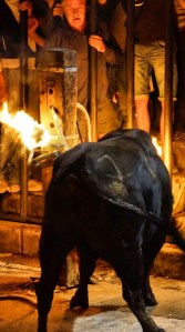 DSC02360 [1600x1200]