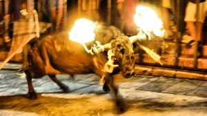 DSC02361 [1600x1200]