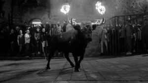 DSC02371 [1600x1200]