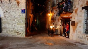 DSC02375 [1600x1200]