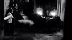 DSC02398 [1600x1200]