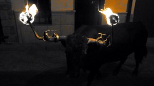 DSC02413 [1600x1200]