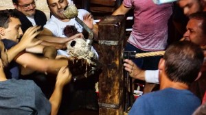 DSC02565 [1600x1200]