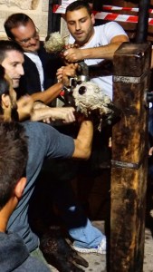 DSC02567 [1600x1200]